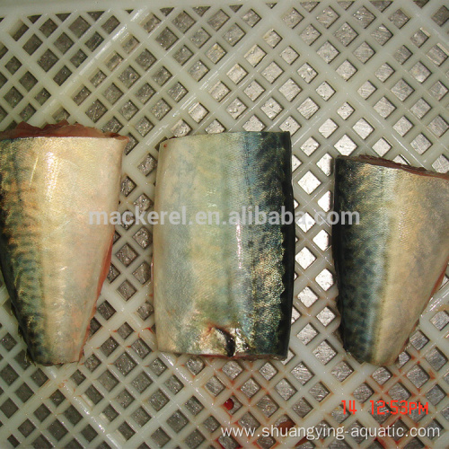 Frozen Gutted Tailed Pacific Mackerel HGT For Canned